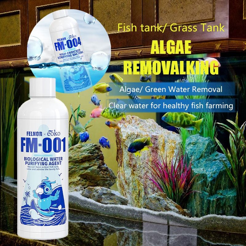 💧49% OFF - Fish Tank Water Purifier Algae Remover