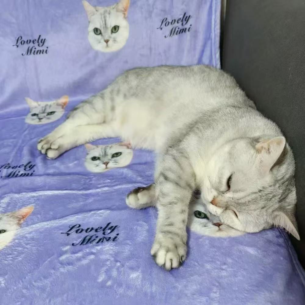 🐾 Custom Pet Blankets – Wrap Yourself in Love