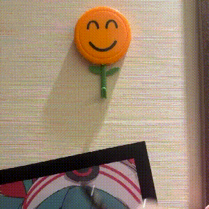 Creative Sunflower Hook